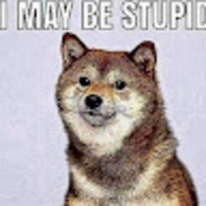 Meet your Posher, Jackson